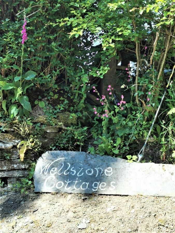 Wellstone Cottages - Coach House Llanfyrnach Ngoại thất bức ảnh